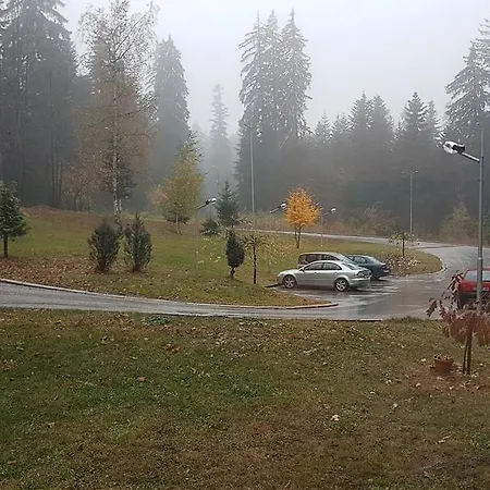 Apartments C8 And C9 In Borovets Gardens Borovets