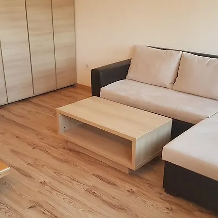 Apartments C8 And C9 In Borovets Gardens